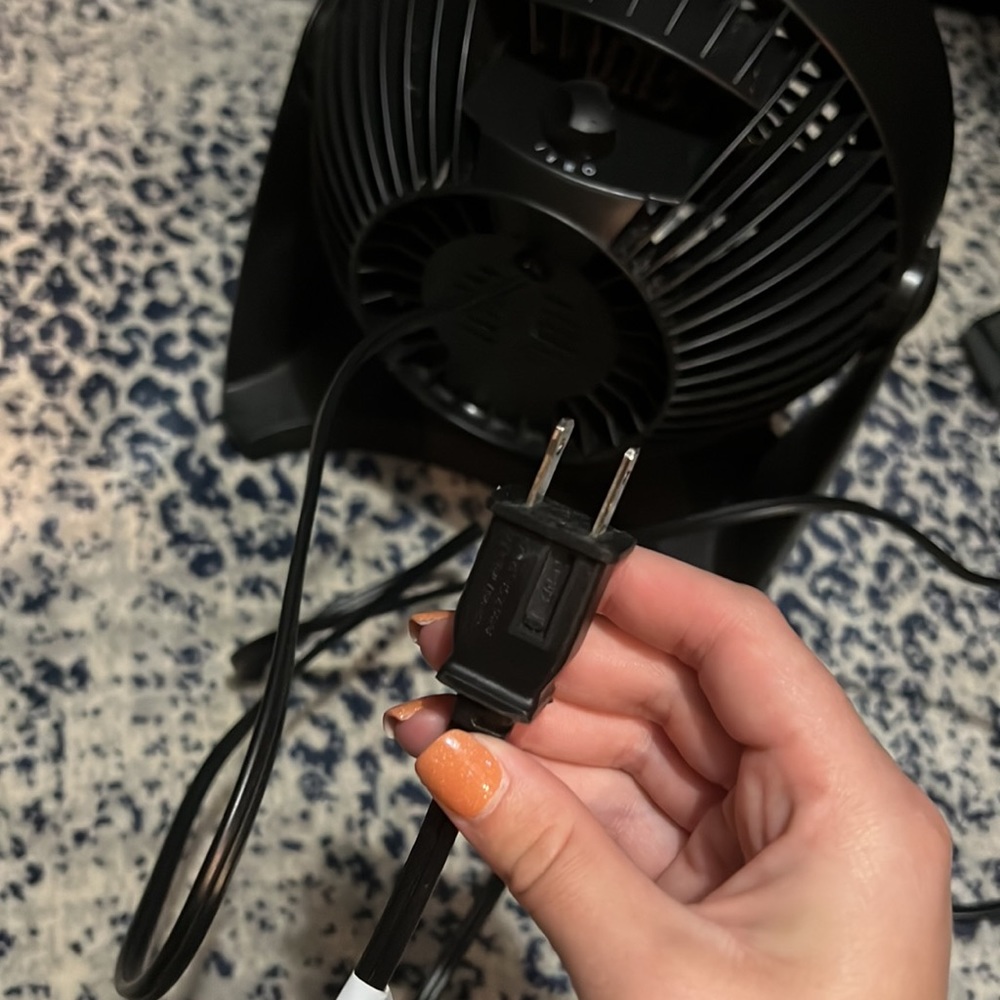 Small Fan - Picture 3 of 3